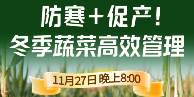 《细说农技》专家张宝林教冬季蔬菜防寒 + 促产高效管理，27 日晚 8 点！