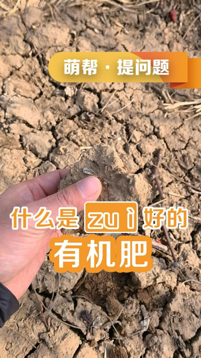 什么是最好的有机肥