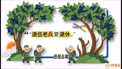 第7节：修剪决定产量（下）&mdash;&mdash;结果树的更新与疏果，课程：《蓝莓&ldquo;高产&rdquo;实战课：从选苗到丰收的10个关键点》