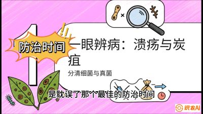 第三节：细菌与真菌&mdash;&mdash;溃疡病与炭疽病，课程：《柑橘十大病虫害：从入门到精通》