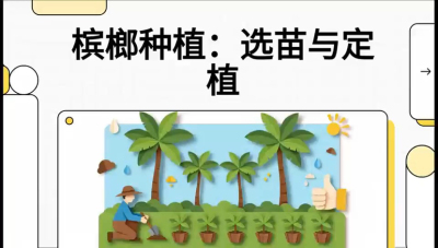 第01节：选苗与定植&mdash;&mdash;&ldquo;苗好一半收，底肥定千秋&rdquo;课程：《槟榔种植：从不懂到精通的10堂必修课》