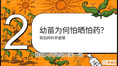 第02节：幼树管理&mdash;&mdash;&ldquo;防晒又防草，树势起得早&rdquo;，课程：《槟榔种植：从不懂到精通的10堂必修课》