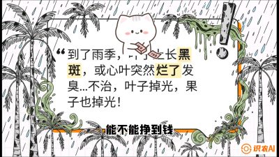 第05节：常见真菌病害&mdash;&mdash;&ldquo;炭疽与烂心，早防值千金&rdquo;《槟榔种植：从不懂到精通的10堂必修课》