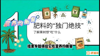 第07节：科学施肥&mdash;&mdash;&ldquo;氮磷钾配好，树壮果不倒