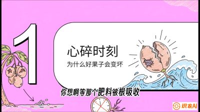 第08节：微量元素与保果&mdash;&mdash;&ldquo;补硼又补钙，果子不裂坏&rdquo;《槟榔种植：从不懂到精通的10堂必修课》