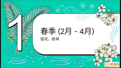 第10节：周年农事日历&mdash;&mdash;&ldquo;跟着节气走，丰产在手头&rdquo;《槟榔种植：从不懂到精通的10堂必修课》