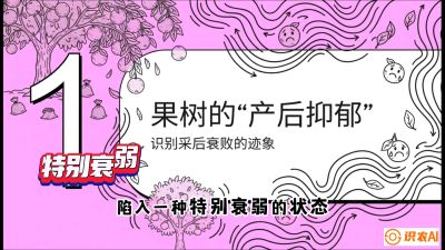 第2节：【冬肥策略】采后&ldquo;月子肥&rdquo;：大小年的精准干预术，课程：《柑橘底肥&ldquo;翻身账&rdquo;：从改土到高产的实战全书》