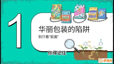 第4节：【黄金配方】底肥里的&ldquo;铁三角&rdquo;与&ldquo;微量雷区&rdquo;课程：《柑橘底肥&ldquo;翻身账&rdquo;：从改土到高产的实战全书》