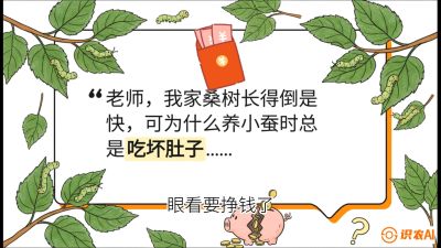 第01节：不仅仅是树&mdash;&mdash;顶级品种选配策略，课程：《桑海淘金：桑树高产与蚕桑安全进阶实战课》