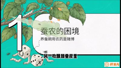 第06节：虫口夺叶（上）&mdash;&mdash;物理与生物防控绝技，课程《桑海淘金：桑树高产与蚕桑安全进阶实战课》