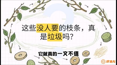 第12节：变废为宝&mdash;&mdash;循环农业实操，课程：《桑海淘金：桑树高产与蚕桑安全进阶实战课》