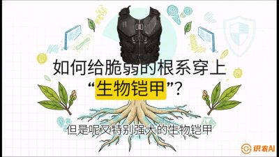 第三节：国产榴莲突围战：根系堡垒，菌根微生态构建与黄金定植窗口，课程：《国产榴莲突围战：从泰国经验到中国实操的8堂必修课（高阶实战版）》