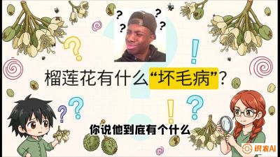 第六节：榴莲的午夜战事，夜间授粉战与花果期避雨策略，课程：《国产榴莲突围战：从泰国经验到中国实操的8堂必修课（高阶实战版）》