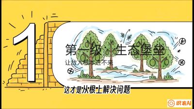 第七节：榴莲防御战：病虫害三级立体防控，疫霉菌与虫害的立体封锁线，课程：《国产榴莲突围战：从泰国经验到中国实操的8堂必修课（高阶实战版）》