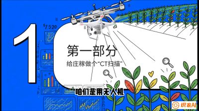 第5节：无人机也能&ldquo;看病抓药&rdquo;&mdash;&mdash;处方图与变量施肥入门，课程：《无人机植保搞钱必修课：从&ldquo;瞎飞&rdquo;到&ldquo;懂行&rdquo;的6步进阶》