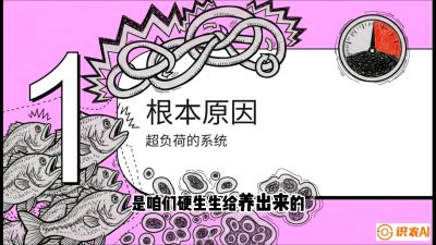 第三节：【爆款单品&middot;加州鲈】从&ldquo;玻璃鱼&rdquo;到&ldquo;摇钱树&rdquo;的通关秘籍，课程：《黄金鳞甲：2025中国淡水鱼高效养殖实战营》