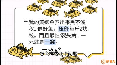 第四节：【黄金单品&middot;黄颡鱼】解决&ldquo;一点红&rdquo;与&ldquo;香蕉色&rdquo;的悖论，课程：《黄金鳞甲：2025中国淡水鱼高效养殖实战营》