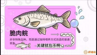 第六节：【老品升级&middot;脆肉鲩】如何让草鱼身价翻倍？，课程：《黄金鳞甲：2025中国淡水鱼高效养殖实战营》