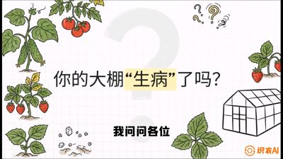 第2节（解毒篇）： 大棚里的&ldquo;红白绿&rdquo;警报&mdash;&mdash;读懂土壤盐渍化的求救信号，课程：《揭秘土壤的秘密：让土地帮你赚钱》#识农AI