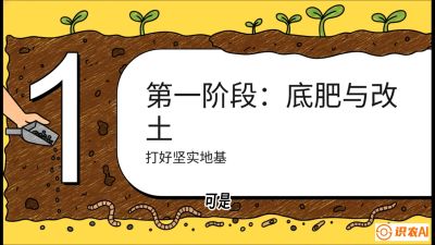 第6节（统筹篇）： 省钱又增产的&ldquo;黄金配比&rdquo;&mdash;&mdash;不同作物全年的养土实操方案，课程：《揭秘土壤的秘密：让土地帮你赚钱》#识农AI