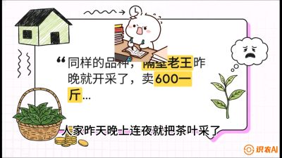 第01节（抢早篇）：与老天爷抢饭吃：如何利用&ldquo;温差阈值&rdquo;让头采茶提前5天上市？，课程：《茶金时代：从&ldquo;看天吃饭&rdquo;到&ldquo;精准控局&rdquo;的茶叶高产提质实战课》