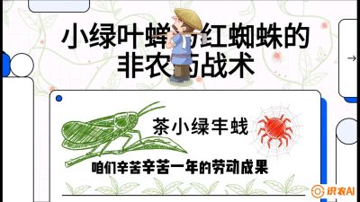 第03节（虫害篇）：看不见的吸血鬼：小绿叶蝉与红蜘蛛的&ldquo;非农药&rdquo;团灭战术（抗性治理），课程：《茶金时代：从&ldquo;看天吃饭&rdquo;到&ldquo;精准控局&rdquo;的茶叶高产提质实战课》