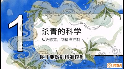 第05节（加工篇）：决胜2分钟：用&ldquo;数字温控&rdquo;破解杀青不匀，复刻大师级手工口感，课程：《茶金时代：从&ldquo;看天吃饭&rdquo;到&ldquo;精准控局&rdquo;的茶叶高产提质实战课》