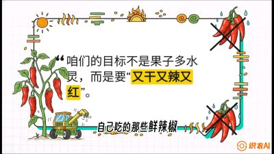 第7节：【工业辣椒专场】追求极致辣度！干物质提升与机械化采收的&ldquo;催红秘籍&rdquo;，课程：《辣椒种植实战特训营，从工业辣椒到精品小米辣，教你如何把&ldquo;草&rdquo;种成&ldquo;金&rdquo;》