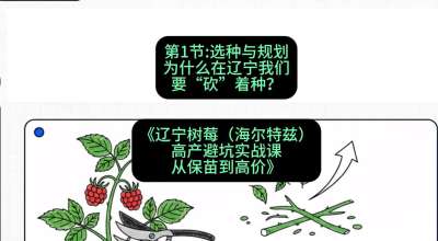 第一节： 选种与规划&mdash;&mdash;为什么在辽宁我们要&ldquo;砍&rdquo;着种？，课程：《辽宁树莓（海尔特兹）高产避坑实战课：从保苗到高价》
