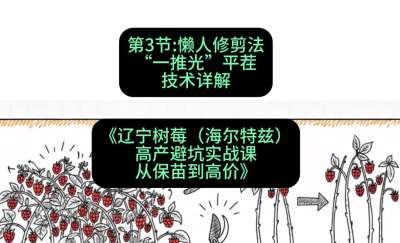 第三节： 懒人修剪法&mdash;&mdash;&ldquo;一推光&rdquo;平茬技术详解，课程：《辽宁树莓（海尔特兹）高产避坑实战课：从保苗到高价》