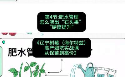 第四节： 肥水管理&mdash;&mdash;怎么喂出&ldquo;石头果&rdquo;（硬度提升），课程：《辽宁树莓（海尔特兹）高产避坑实战课：从保苗到高价》