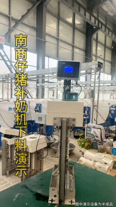 小猪抢不到奶，干瘦不长肉？成活率总上不去？😭
自从用上南商农科这款仔猪补奶机，再也没这烦恼！
✅ 一键设置下料参数，新手也能上手
✅ 恒温补奶，小猪抢着喝，长势超均匀
从车间精工组装到猪场落地使用，每