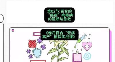 第02节：百合的&ldquo;癌症&rdquo;&mdash;&mdash;病毒病的阻断与急救，课程：《卷丹百合&ldquo;无病高产&rdquo;植保实战课》#识农AI