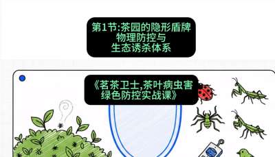 第01节：茶园的&ldquo;隐形盾牌&rdquo;&mdash;&mdash;物理防控与生态诱杀体系，课程：《茗茶卫士&mdash;&mdash;茶叶病虫害绿色防控实战课》#识农AI