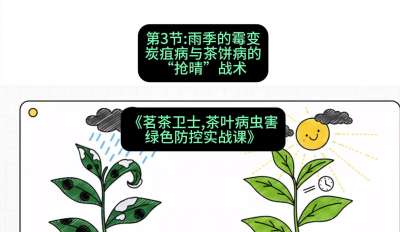 第03节：雨季的霉变&mdash;&mdash;炭疽病与茶饼病的&ldquo;抢晴&rdquo;战术，课程：《茗茶卫士&mdash;&mdash;茶叶病虫害绿色防控实战课》#识农AI