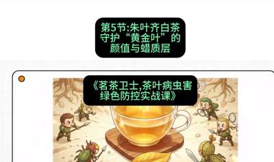 第05节：朱叶齐白茶&mdash;&mdash;守护&ldquo;黄金叶&rdquo;的颜值与蜡质层（重点），课程：《茗茶卫士&mdash;&mdash;茶叶病虫害绿色防控实战课》#识农AI