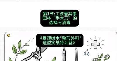 第01节：工欲善其事&mdash;&mdash;园林&ldquo;手术刀&rdquo;的选择与消毒，课程：《景观树木&ldquo;整形外科&rdquo;造型实战特训营》#识农AI