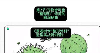 第02节：万物皆可盘&mdash;&mdash;&ldquo;精球形&rdquo;修剪的圆润秘籍，课程：《景观树木&ldquo;整形外科&rdquo;造型实战特训营》#识农AI