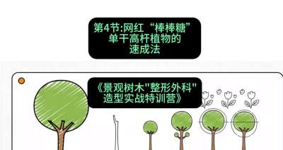 第04节：网红&ldquo;棒棒糖&rdquo;&mdash;&mdash;单干高杆植物的速成法，课程：《景观树木&ldquo;整形外科&rdquo;造型实战特训营》#识农AI