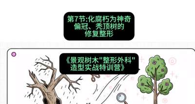 第07节：化腐朽为神奇&mdash;&mdash;偏冠、秃顶树的修复整形，课程：《景观树木&ldquo;整形外科&rdquo;造型实战特训营》#识农AI