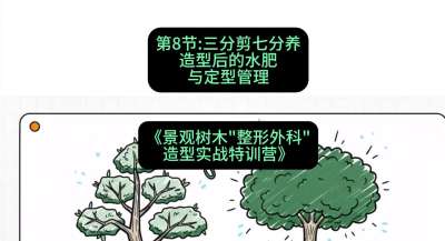 第08节：三分剪七分养&mdash;&mdash;造型后的水肥与定型管理，课程：《景观树木&ldquo;整形外科&rdquo;造型实战特训营》#识农AI